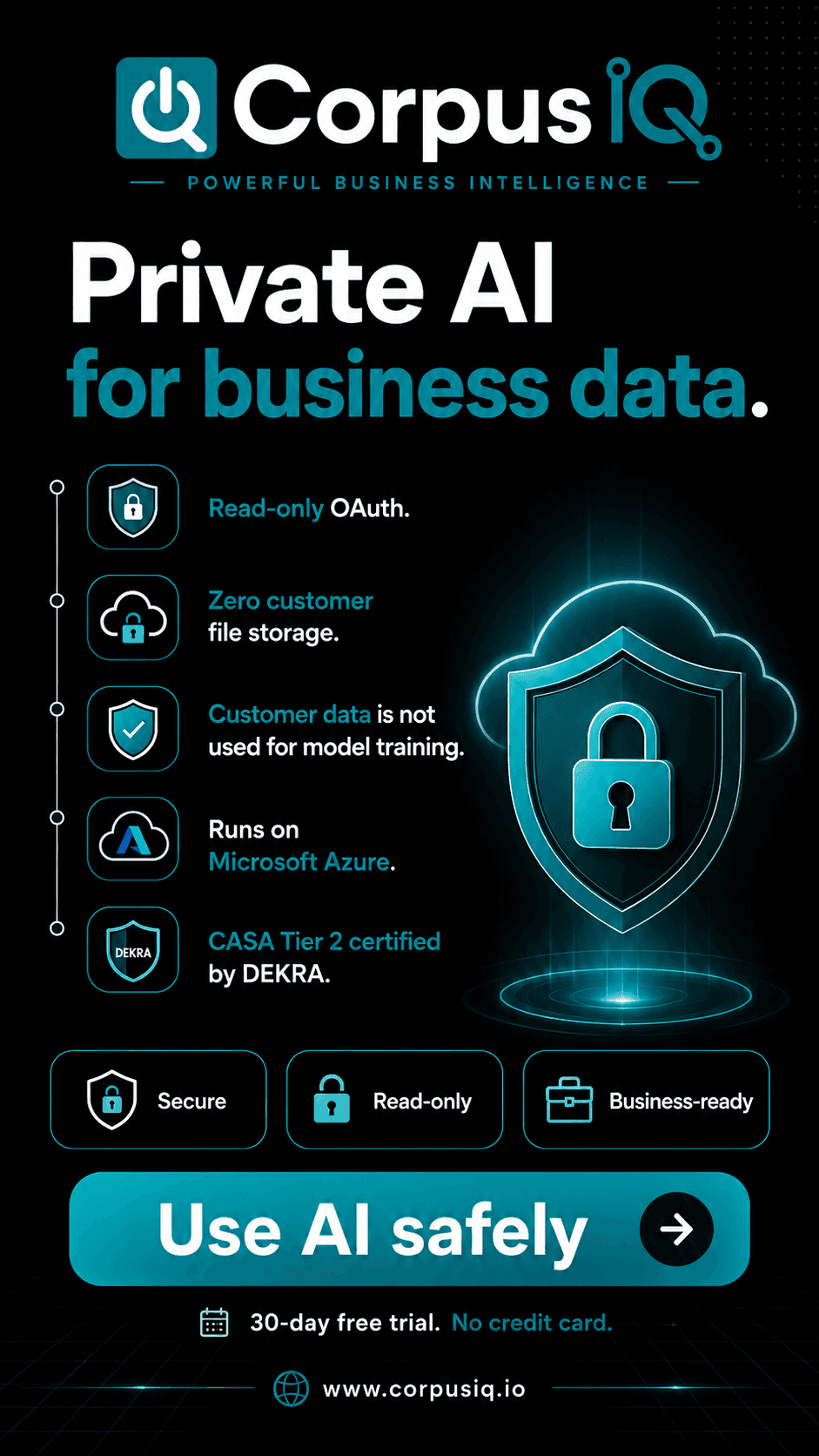 Private AI for business data, listing read-only OAuth, zero file storage, and CASA Tier 2, a dark story ad